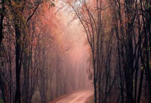 世界杯购彩网站 -中京科信取得基于边缘计算的通(tōng)信机房(fáng)智能化监控(kòng)系统專(zhuān)利