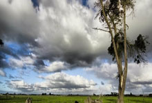 FIFA购彩网站 -再涨2%，12天11阳气势如虹，电子ETF华宝（515260）即将刷新70个月新高