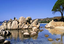 FIFA购彩网站 -再涨2%，12天11阳气势如虹，电子ETF华宝（515260）即将刷新70个月新高